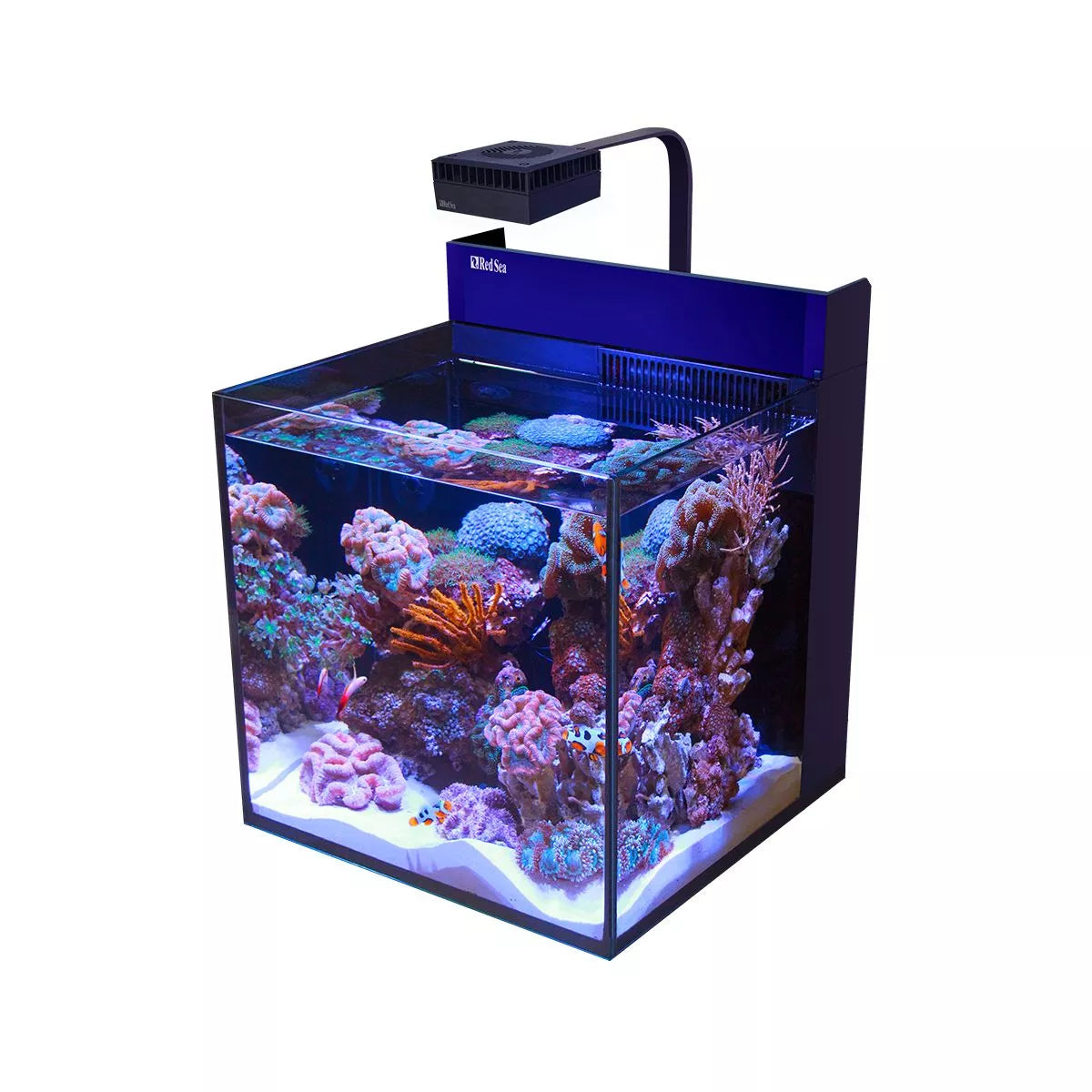 MAX NANO G2 Cube Aquarium (20 Gal)