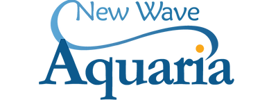 New Wave Aquaria. Shop corals, fish, and inverts
