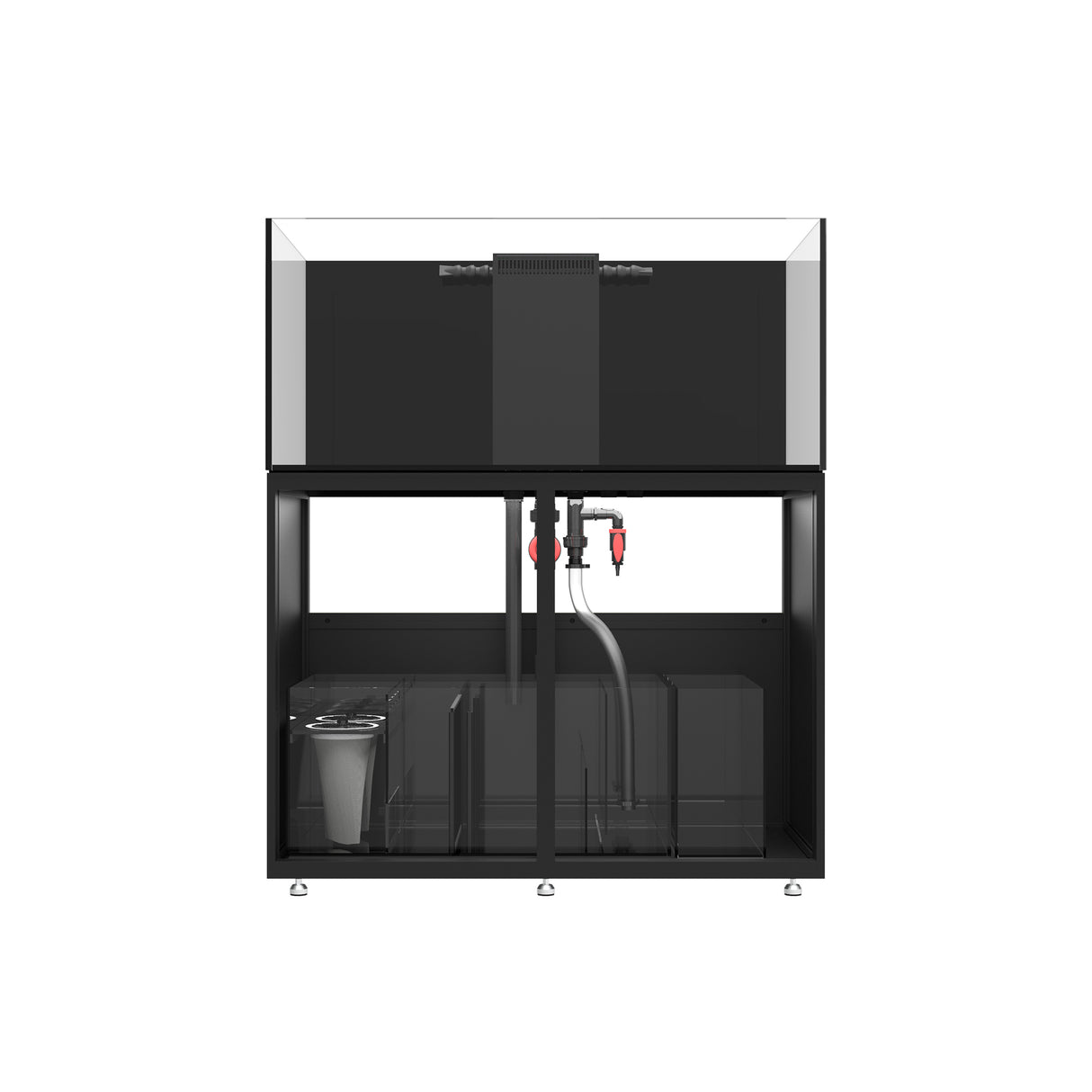 Infinia Reef 150.4 Aquarium Setup