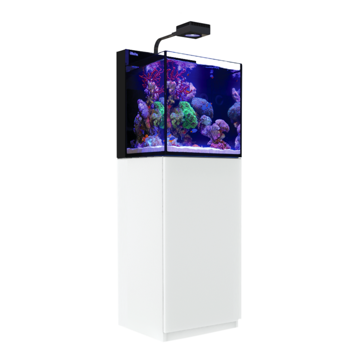 MAX NANO G2 Cube Aquarium (20 Gal)