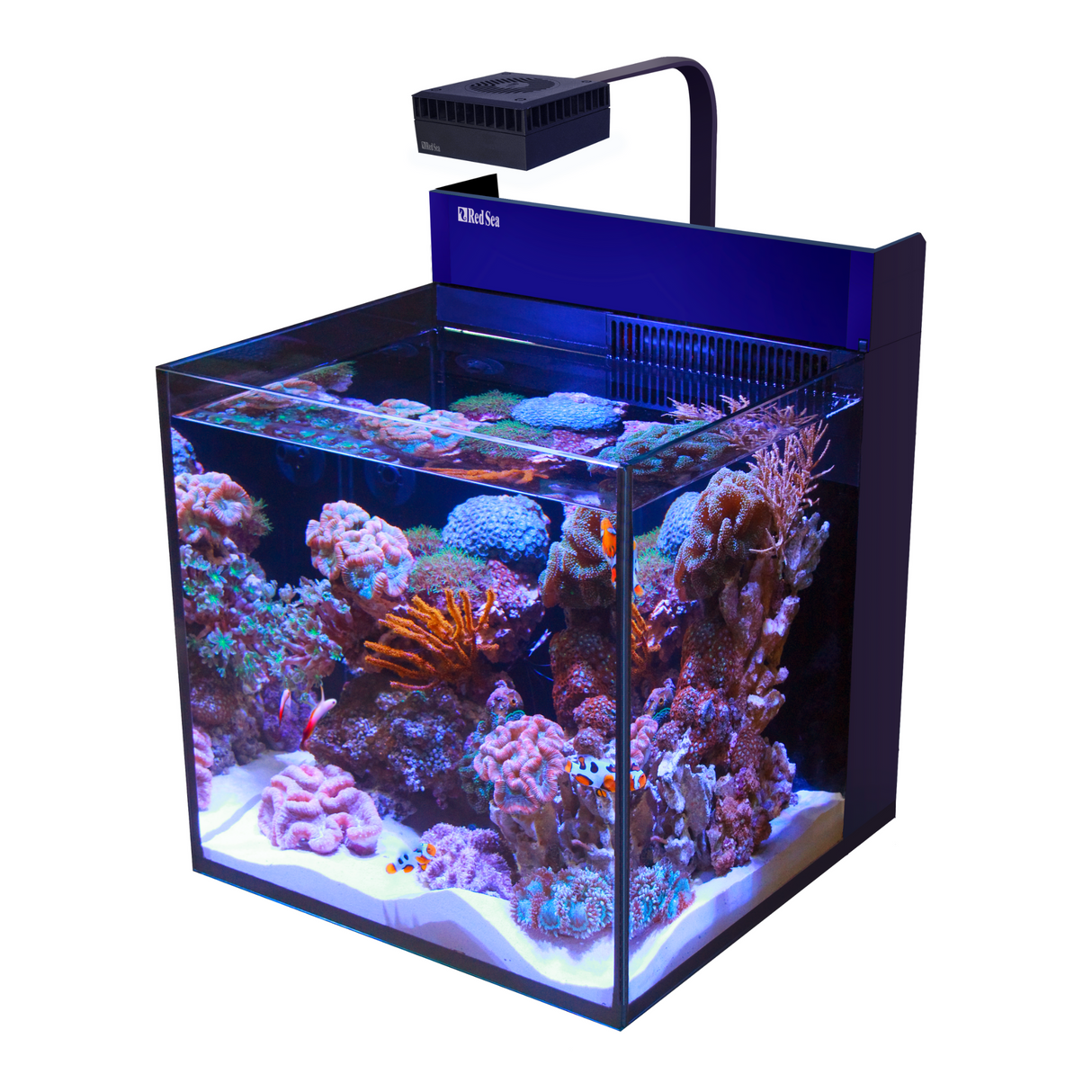 MAX NANO G2 Cube Aquarium (20 Gal)