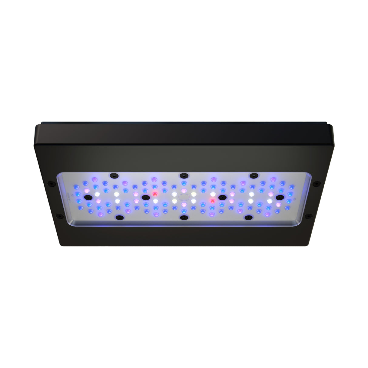 Radion XR30 G6 Blue Led Light