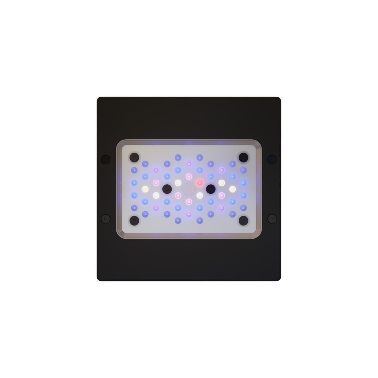 Radion XR15 G6 Blue Led Light