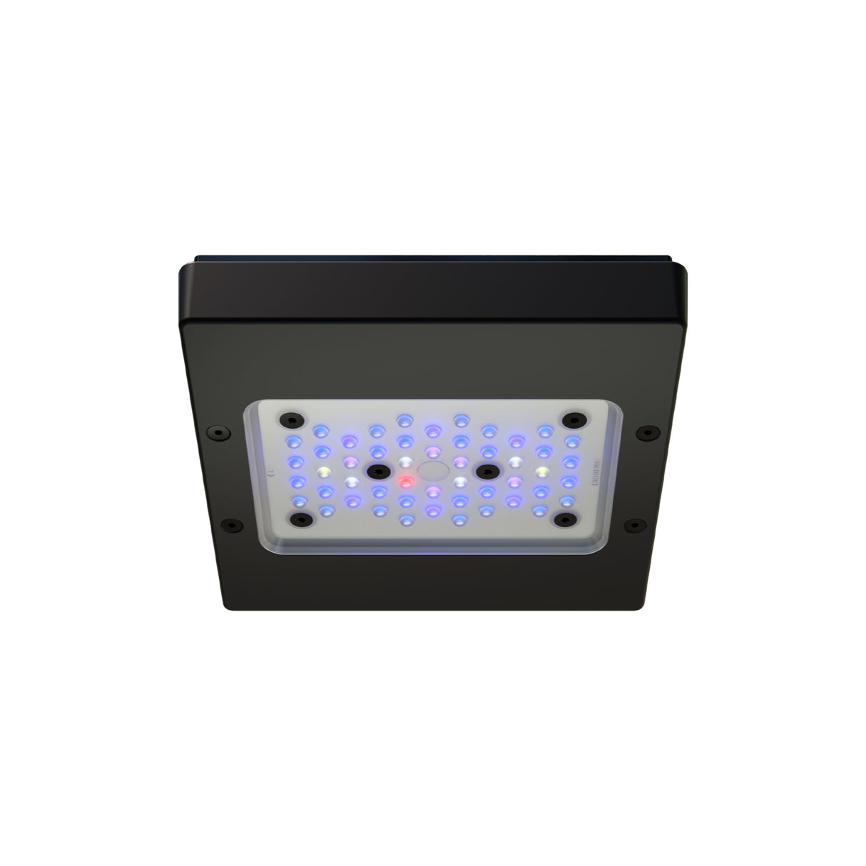 Radion XR15 G6 Blue Led Light