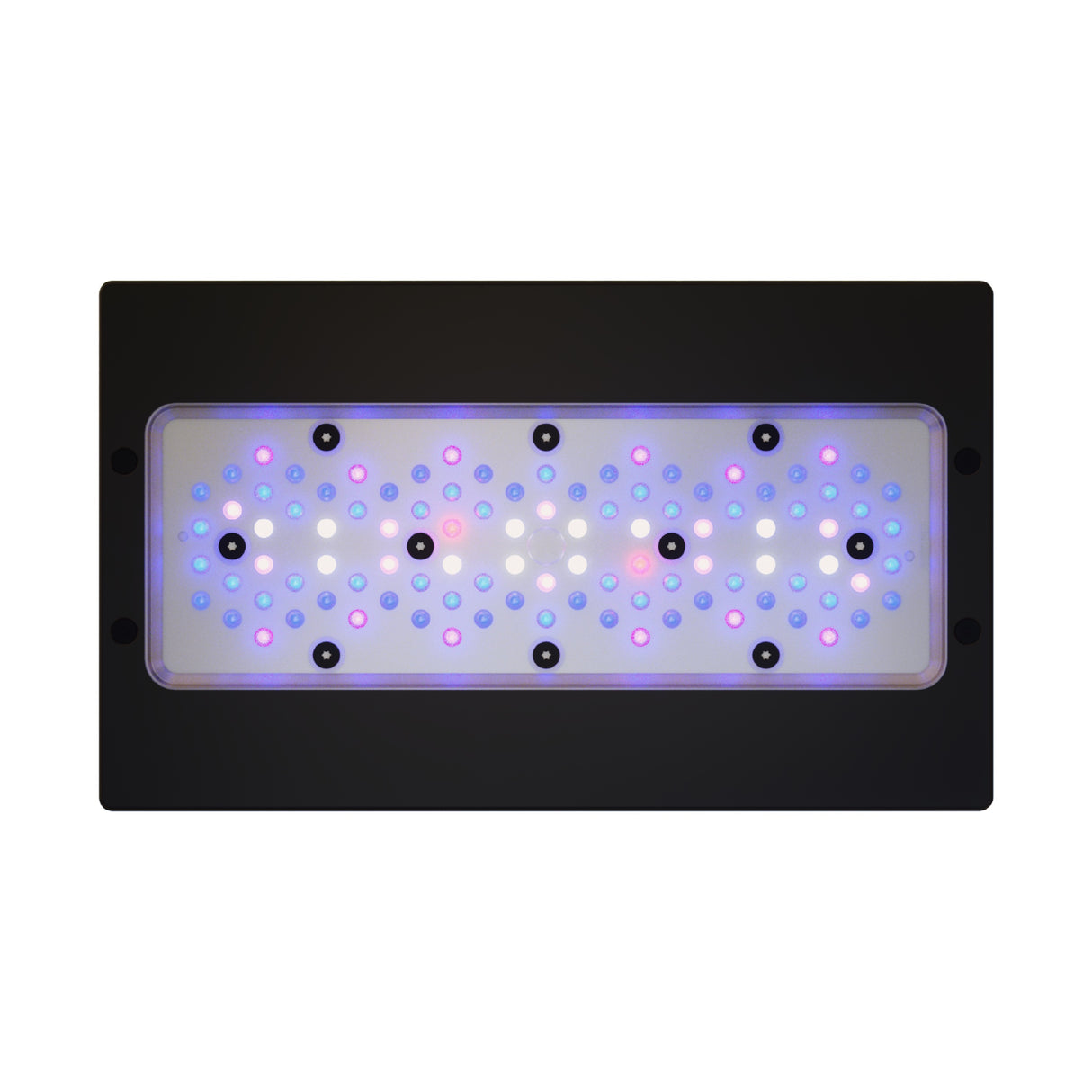 Radion XR30 G6 Blue Led Light