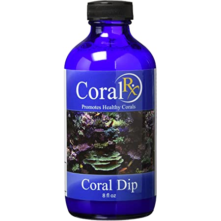 Coral Rx Coral Dip