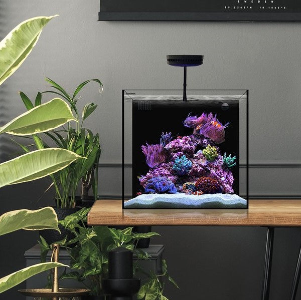 All About Nano Tanks