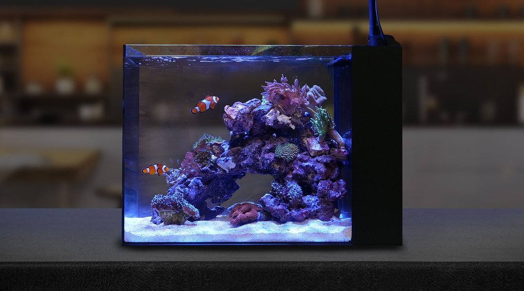 Tanks, Stands, and Sumps