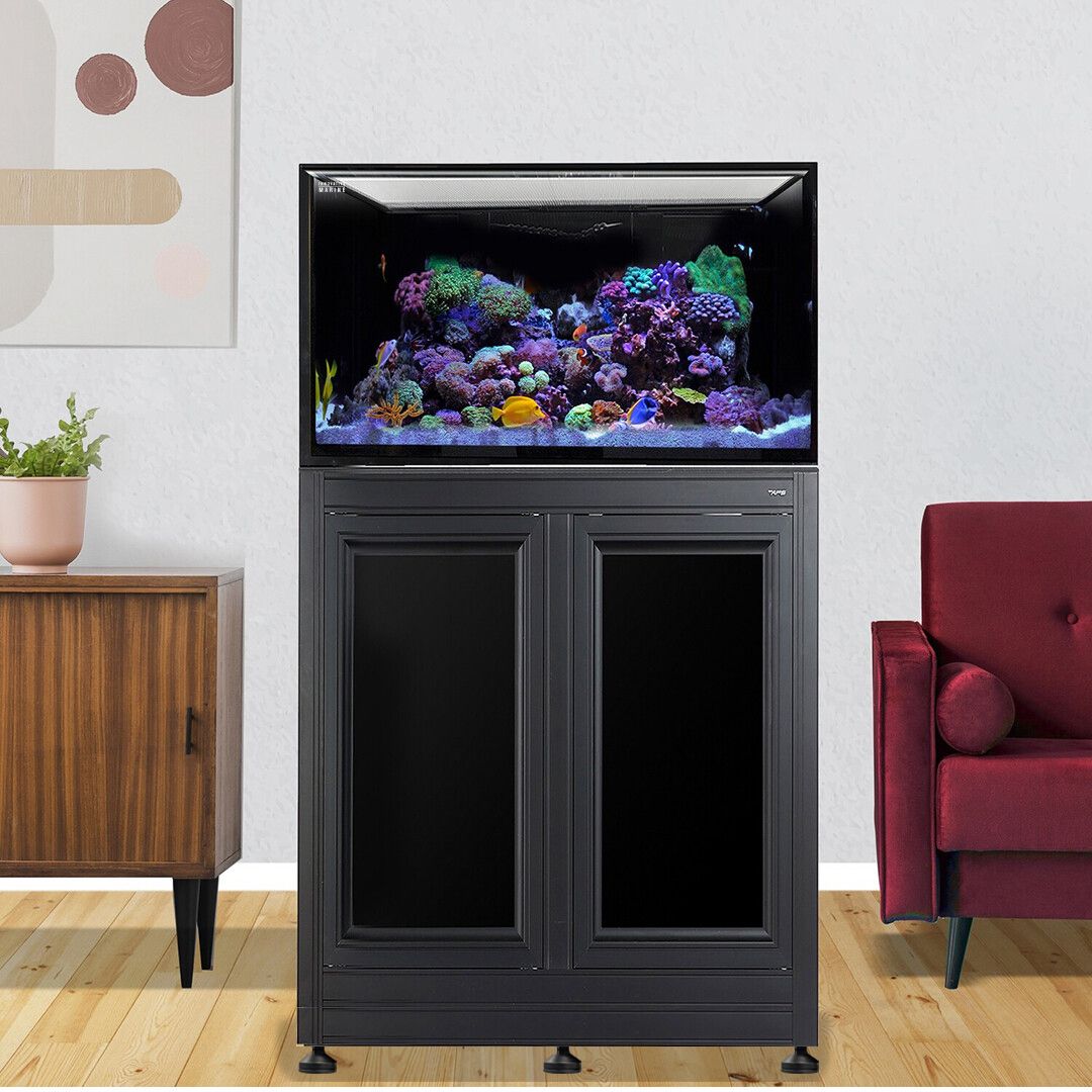 Nuvo INT 112 Lagoon Aquarium w/ APS Stand--Innovative Marine