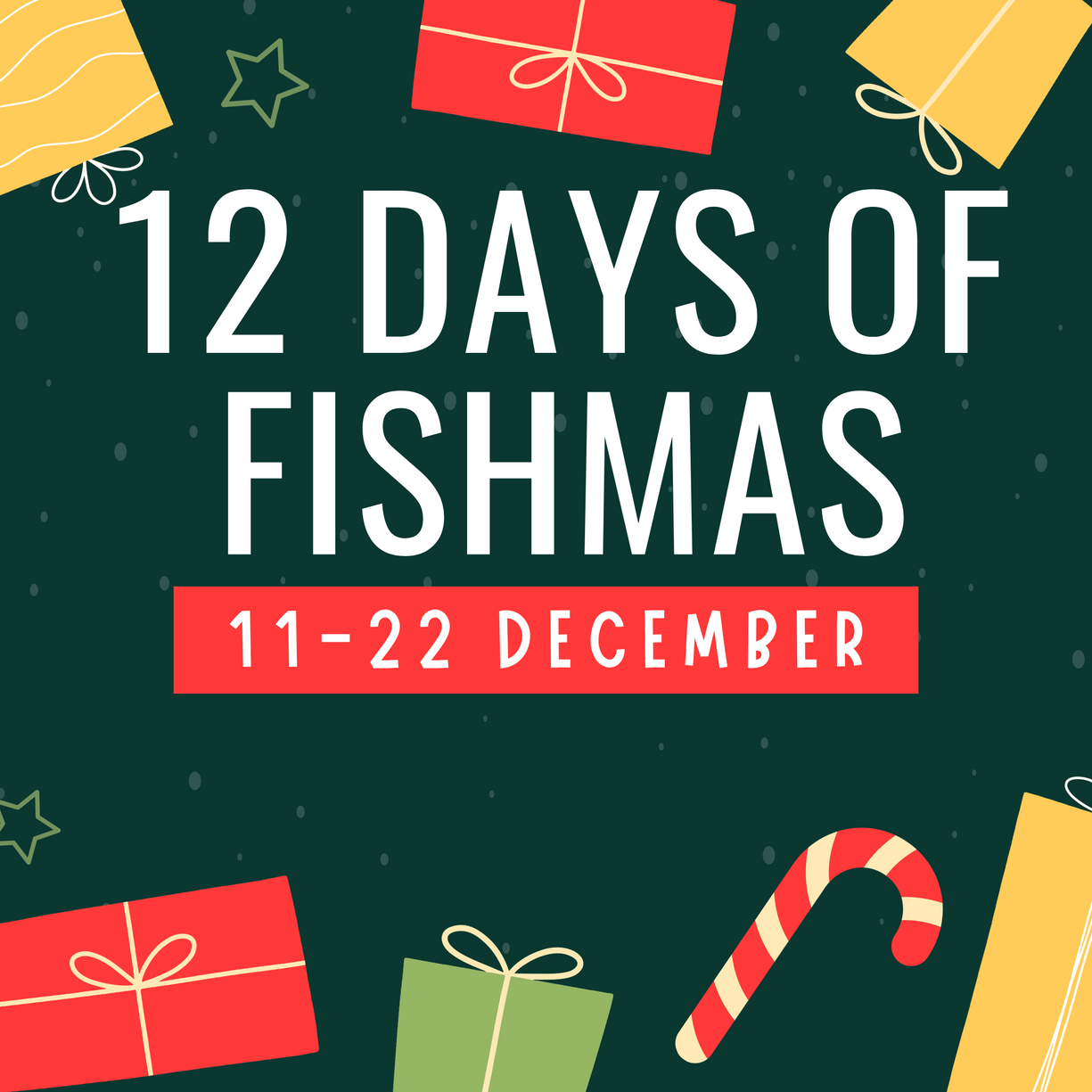 12 Days of Fishmas New Wave Aquaria