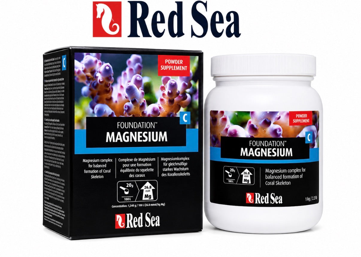 Reef Foundation C (Mg)