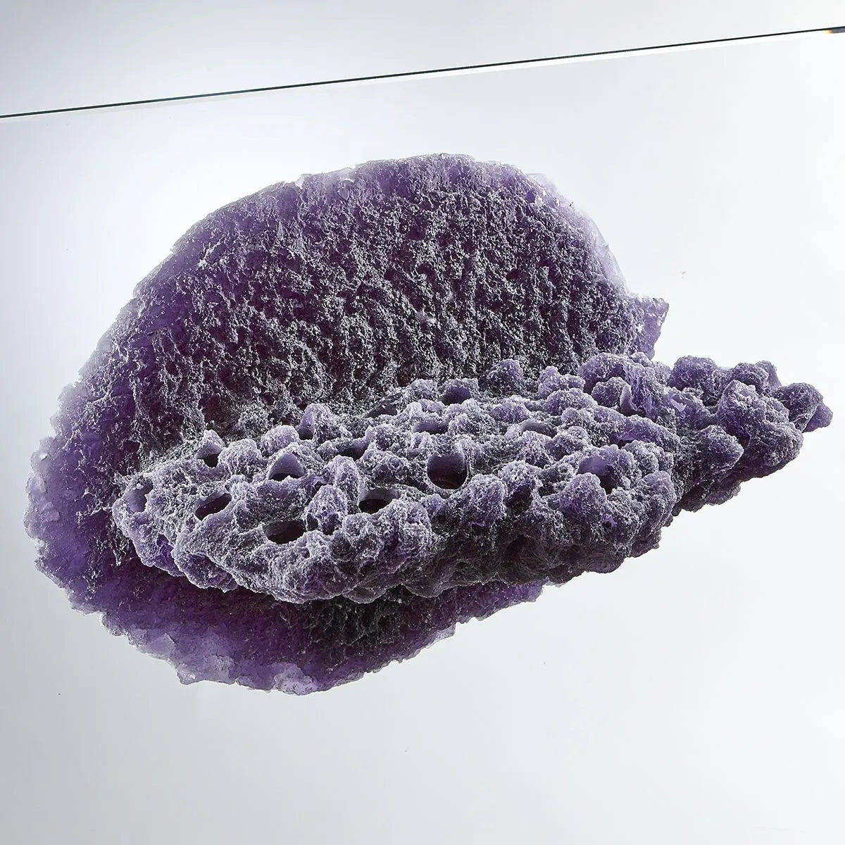 Purple Large Shelf Magnetic Frag Rack