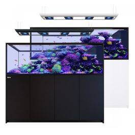 Red Sea Reefer-S Peninsula 950 G3 System (200 Gallon) – New Wave