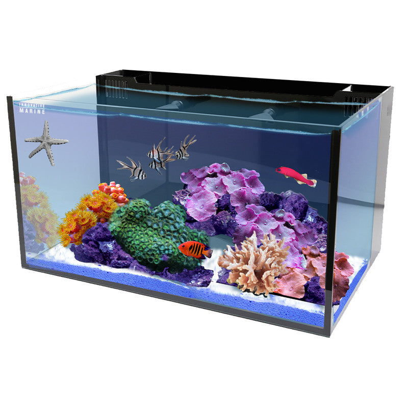 NUVO Fusion 20 Long STARTER KIT - Innovative Marine