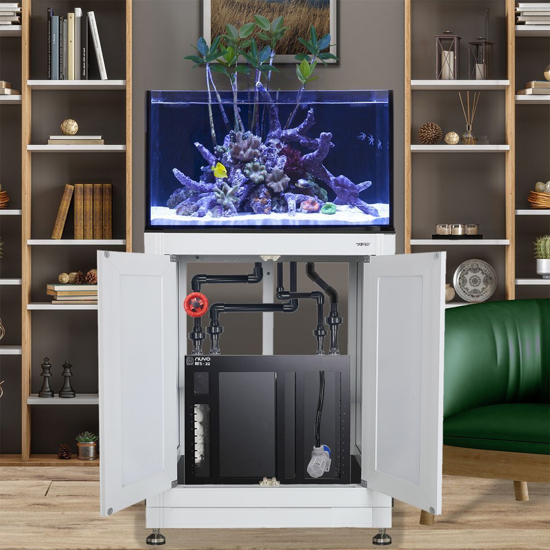 INT 50 Lagoon Aquarium w/ APS Stand--Innovative Marine