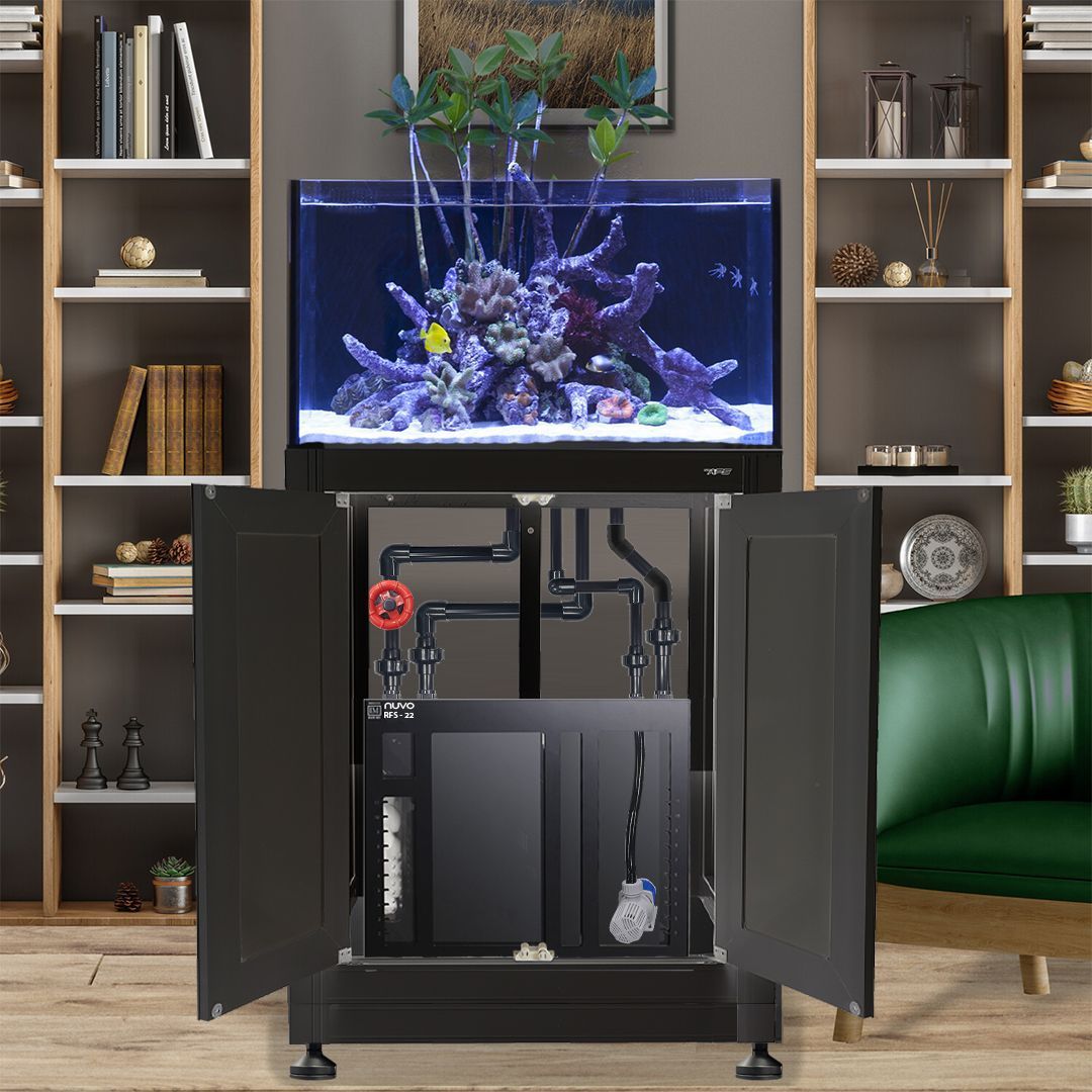 INT 50 Lagoon Aquarium w/ APS Stand--Innovative Marine