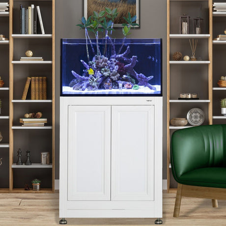 INT 50 Lagoon Aquarium w/ APS Stand--Innovative Marine