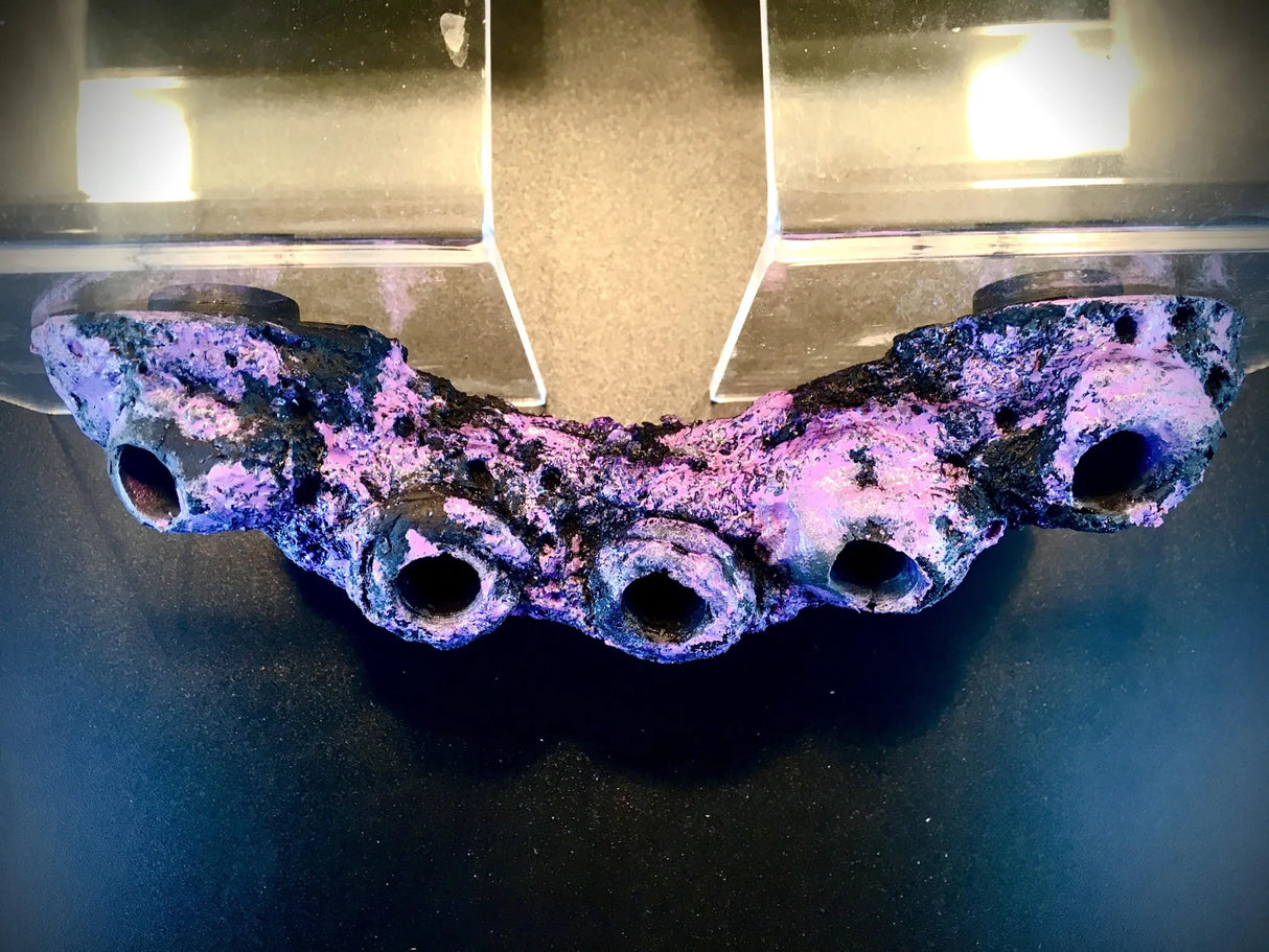 Low Profile Frag Rock Branch - Aqua Rocks