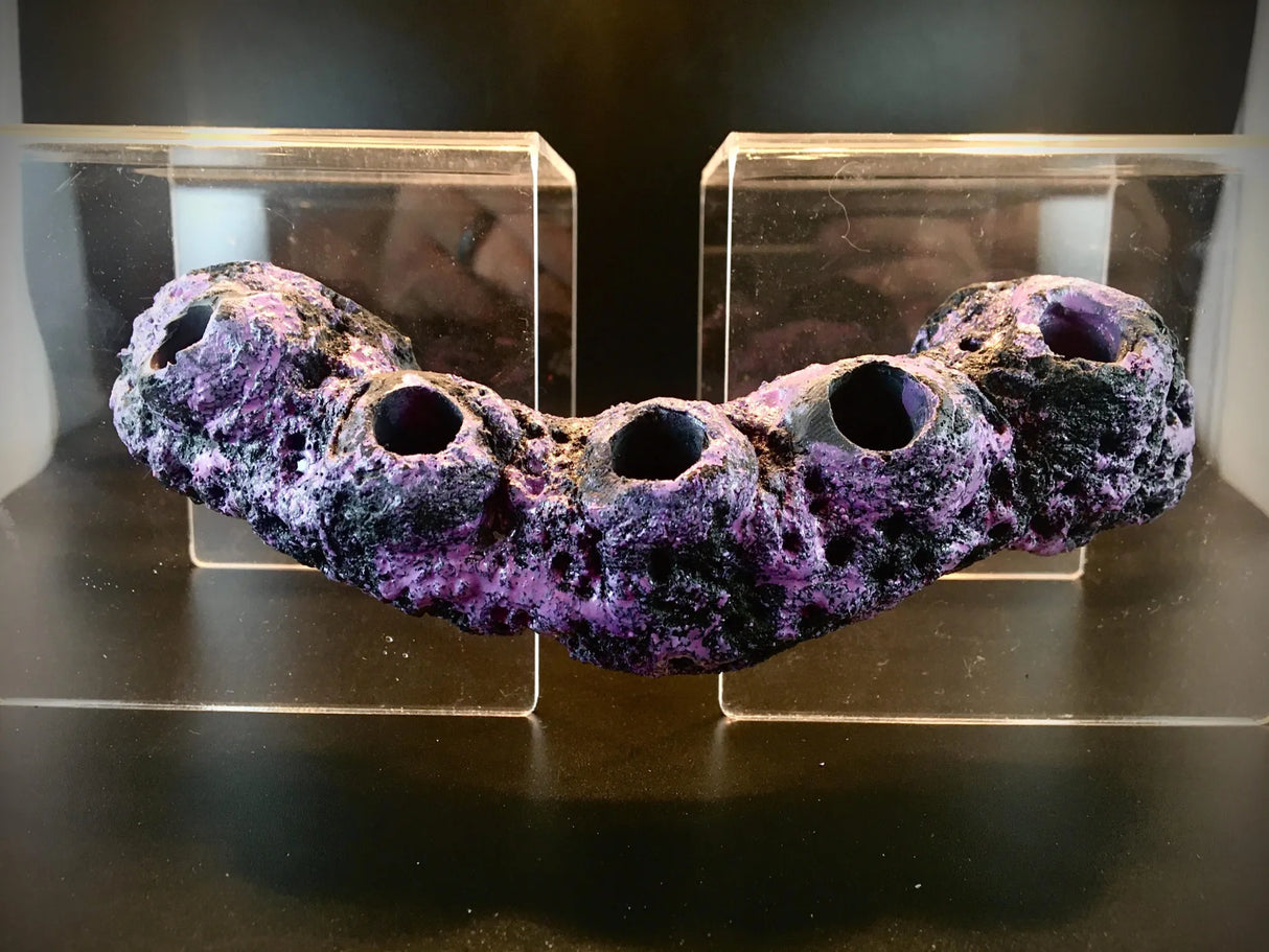 Low Profile Frag Rock Branch - Aqua Rocks