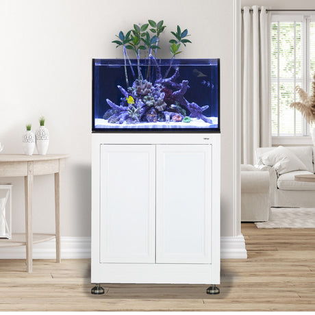 EXT 50 Lagoon Aquarium w/ APS Stand--Innovative Marine