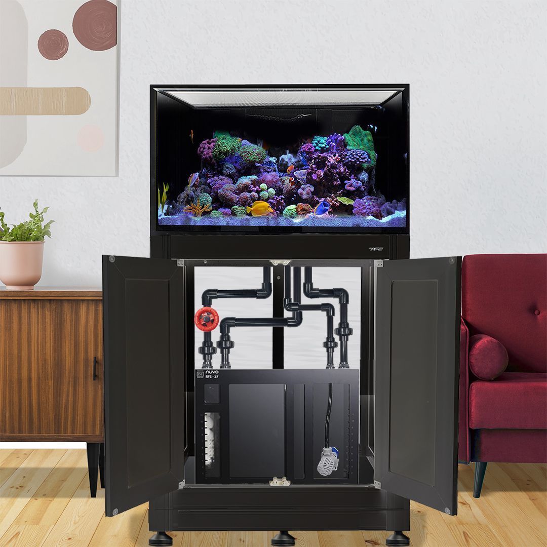 Nuvo INT 75 Aquarium w/ APS Stand--Innovative Marine