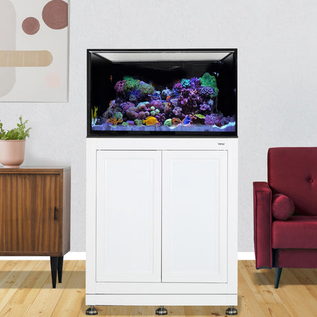 Nuvo INT 75 Aquarium w/ APS Stand--Innovative Marine