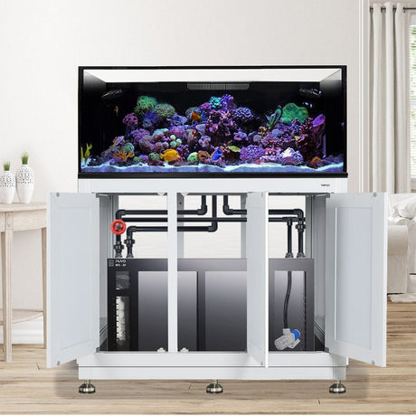 Nuvo INT 150 Lagoon Aquarium w/ APS Stand--Innovative Marine