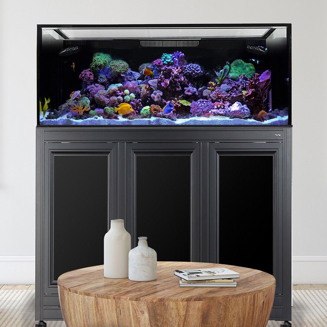 Nuvo EXT 170 Aquarium w/ APS Stand--Innovative Marine
