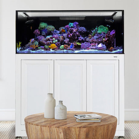 Nuvo EXT 170 Aquarium w/ APS Stand--Innovative Marine