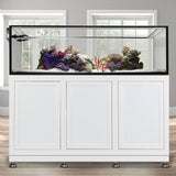 Nuvo EXT 200 Peninsula Aquarium w/ APS Stand--Innovative Marine