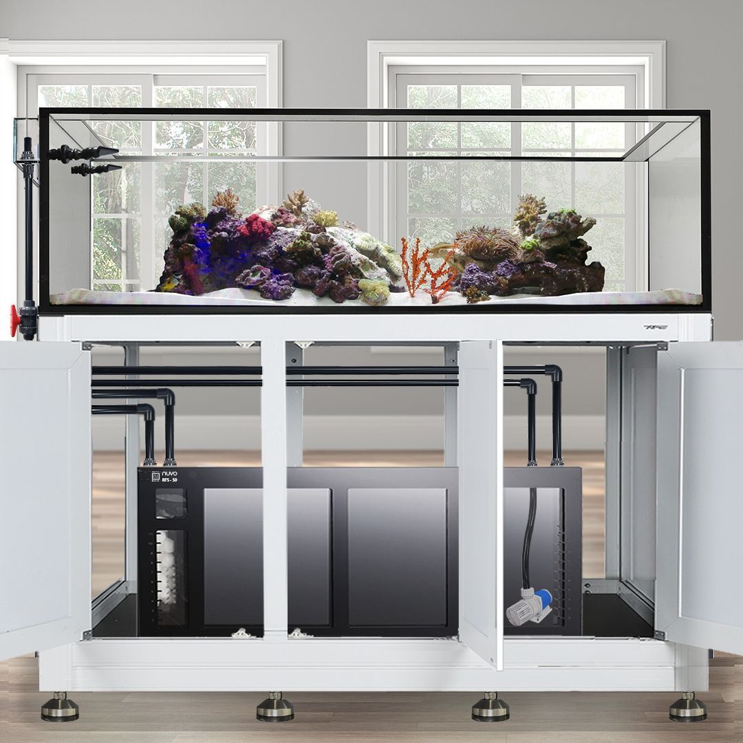 Nuvo EXT 200 Peninsula Aquarium w/ APS Stand--Innovative Marine
