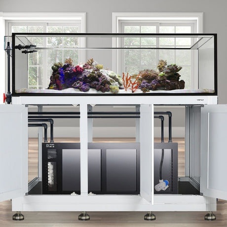 Nuvo EXT 200 Peninsula Aquarium w/ APS Stand--Innovative Marine