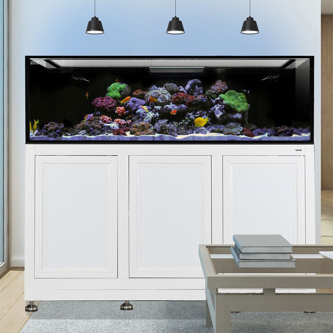 Nuvo EXT 200 Aquarium w/ APS Stand--Innovative Marine
