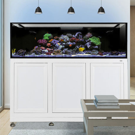Nuvo EXT 200 Aquarium w/ APS Stand--Innovative Marine