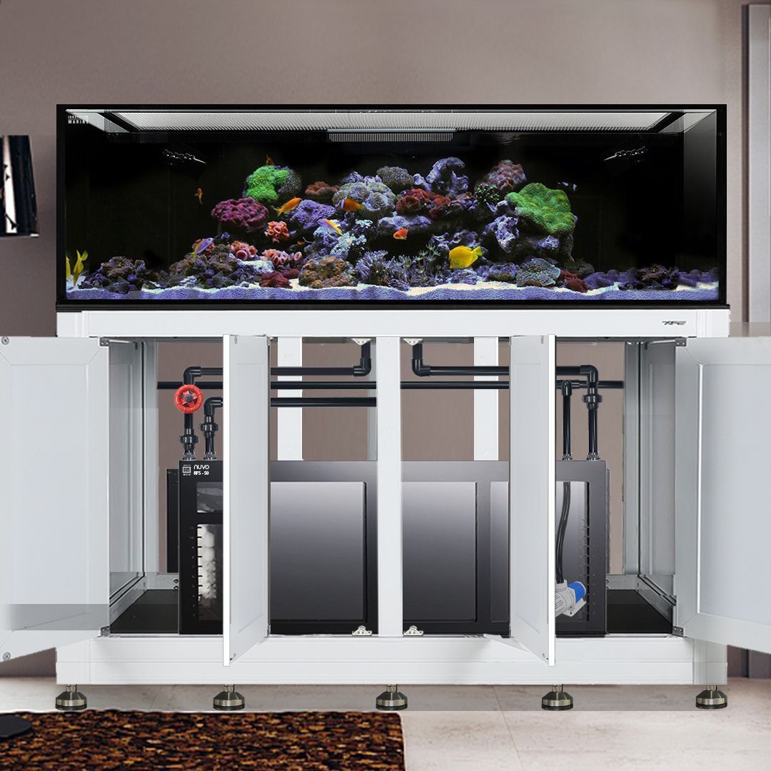Nuvo EXT 240 Aquarium w/ APS Stand--Innovative Marine