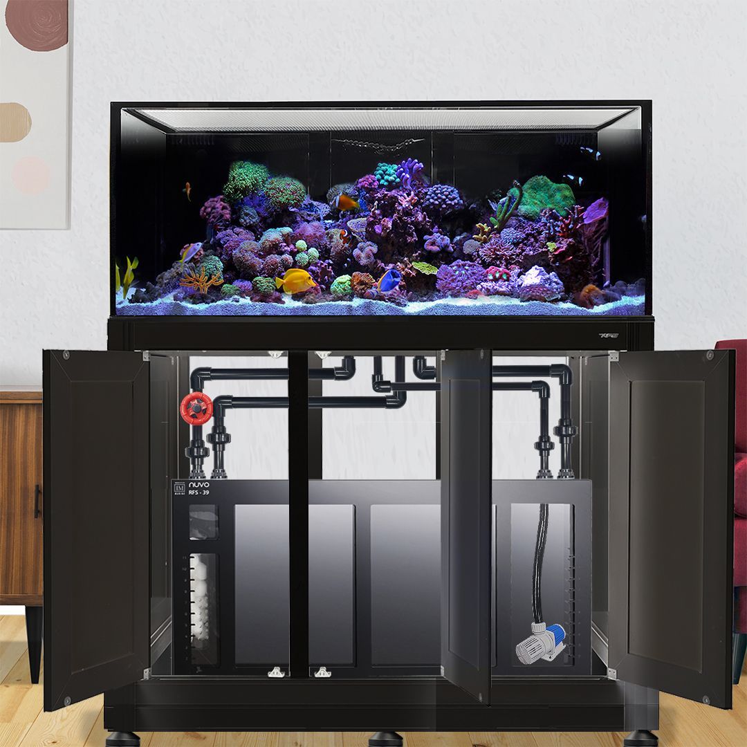 Nuvo INT 100 Complete Reef System w/ APS Stand (Premium Starter Kit)--Innovative Marine
