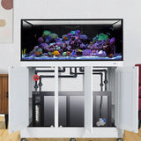 Nuvo INT 100 Complete Reef System w/ APS Stand (Premium Starter Kit)--Innovative Marine