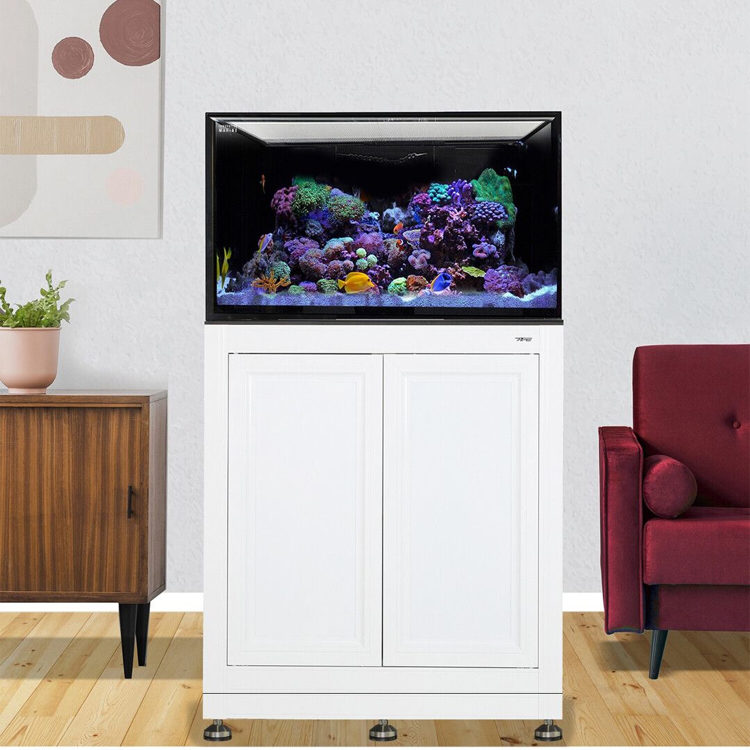 Nuvo INT 112 Lagoon Aquarium w/ APS Stand--Innovative Marine