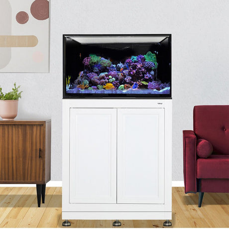 Nuvo INT 112 Lagoon Aquarium w/ APS Stand--Innovative Marine