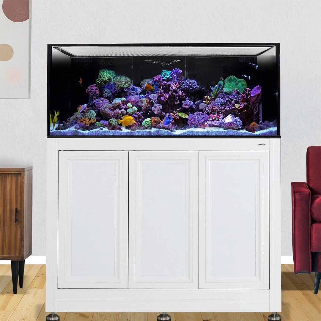 Nuvo INT 150 Lagoon Aquarium w/ APS Stand--Innovative Marine