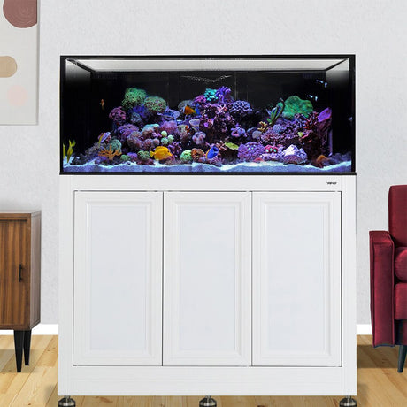 Nuvo INT 150 Lagoon Aquarium w/ APS Stand--Innovative Marine