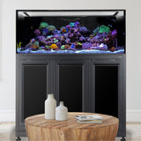 Nuvo INT 170 Aquarium w/ APS Stand--Innovative Marine