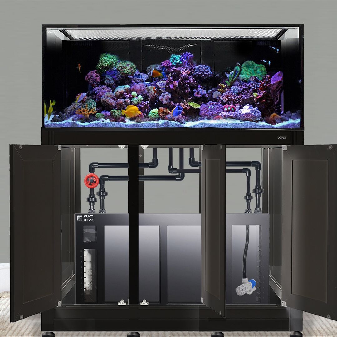 Nuvo INT 170 Aquarium w/ APS Stand--Innovative Marine