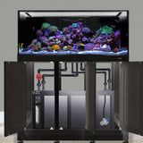 Nuvo INT 170 Aquarium w/ APS Stand--Innovative Marine