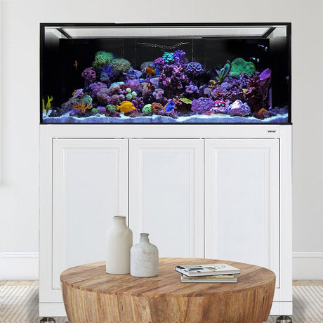 Nuvo INT 170 Aquarium w/ APS Stand--Innovative Marine