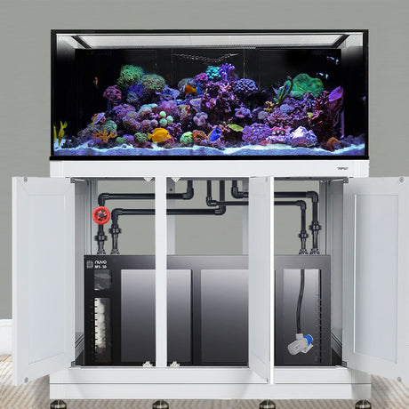 Nuvo INT 170 Aquarium w/ APS Stand--Innovative Marine