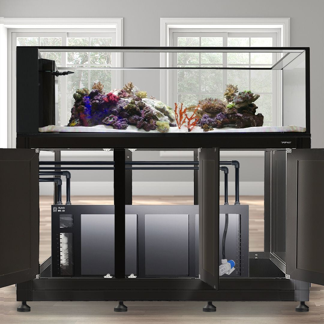 Nuvo INT 200 Peninsula Aquarium w/ APS Stand--Innovative Marine