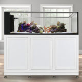 Nuvo INT 200 Peninsula Aquarium w/ APS Stand--Innovative Marine