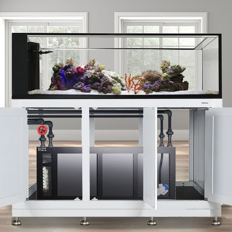 Nuvo INT 200 Peninsula Aquarium w/ APS Stand--Innovative Marine