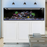 Nuvo INT 200 Aquarium w/ APS Stand--Innovative Marine
